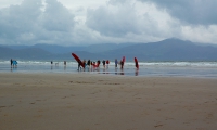 Surfer, Irlanda