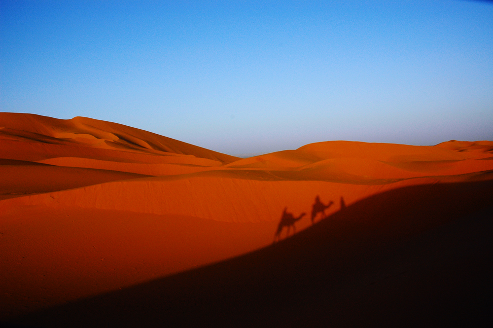 Dune e deserto del Marocco