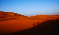 Dune e deserto del Marocco