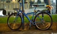 Bike & Flowers