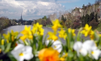 Torino, Po, Ponte Isabella e Mole Antonelliana