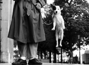 FRANCE. Paris. 1989. Contact email: New York : photography@magnumphotos.com Paris : magnum@magnumphotos.fr London : magnum@magnumphotos.co.uk Tokyo : tokyo@magnumphotos.co.jp Contact phones: New York : +1 212 929 6000 Paris: + 33 1 53 42 50 00 London: + 44 20 7490 1771 Tokyo: + 81 3 3219 0771 Image URL: http://www.magnumphotos.com/Archive/C.aspx?VP=Mod_ViewBoxInsertion.ViewBoxInsertion_VPage&R=2S5RYDWH6L_E&RP=Mod_ViewBox.ViewBoxZoom_VPage&CT=Image&SP=Image&IT=ImageZoom01&DTTM=Image&SAKL=T